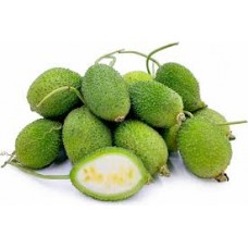 FRESHO SPINE GOURD (CHATHAIL) 