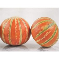 Muskmelon (Kharbuja)