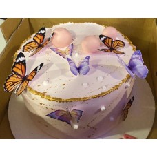 Butterfly Cake