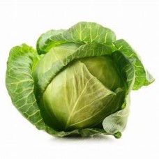 CABBAGE