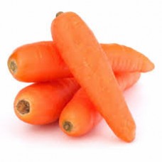 CARROT (GAJAR)