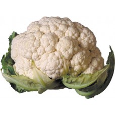 CAULIFLOWER