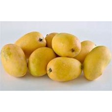 Chausha Mango
