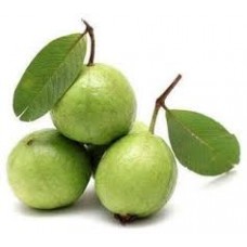 GUAVA