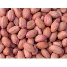 PEANUTS (GROUNDNUT)